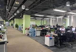 金山区居民区绿化工程